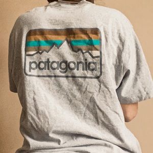 Grey Patagonia Tee✨